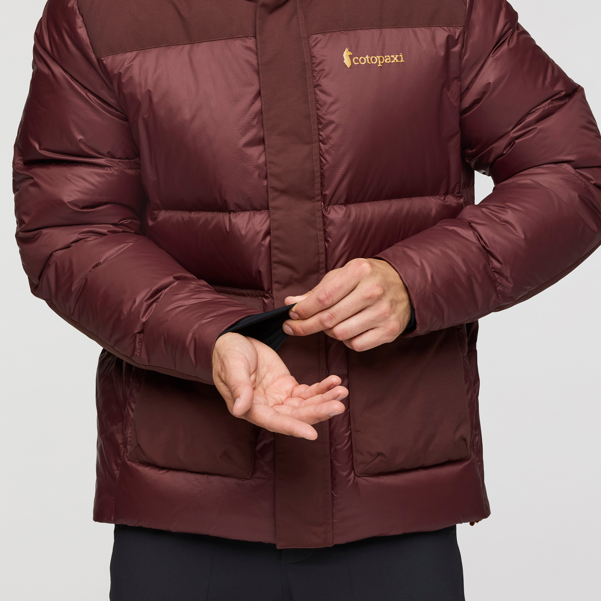 Solazo Down Parka - Men's - Image 28